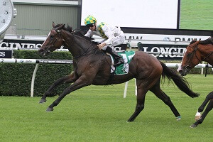 Adrift -Light Fingers Stks NZB